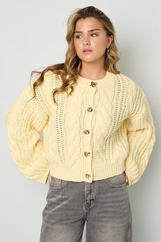 Oh so cozy vest